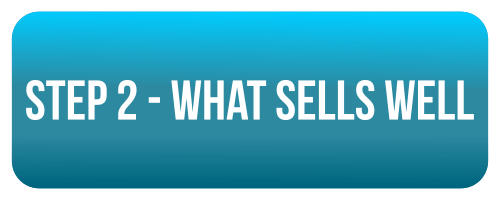 step 2 - what sells well