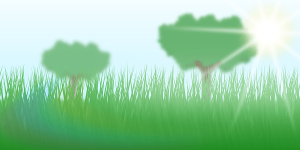 grass-final